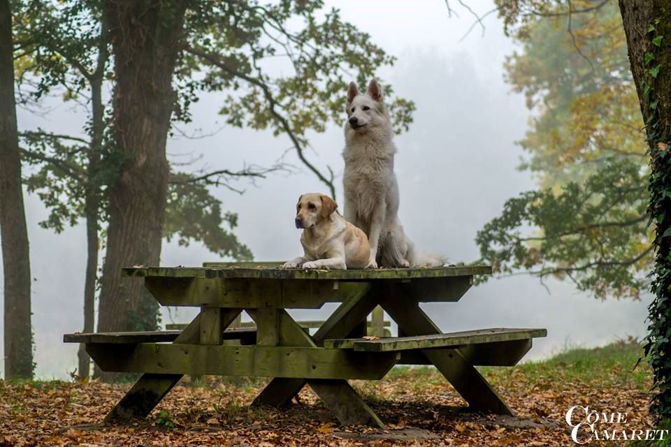 Séance photo du 18/11/2017